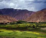 尼木天气预报20天查询