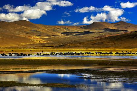 仲巴天气预报20天查询