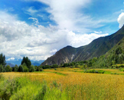 贡嘎天气预报20天查询