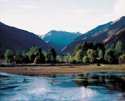 加查天气预报20天查询