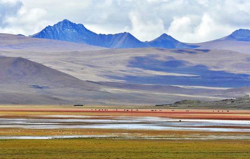 措美天气预报20天查询