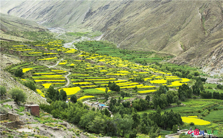 琼结天气预报20天查询