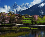 波密天气预报20天查询