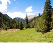 类乌齐天气预报20天查询