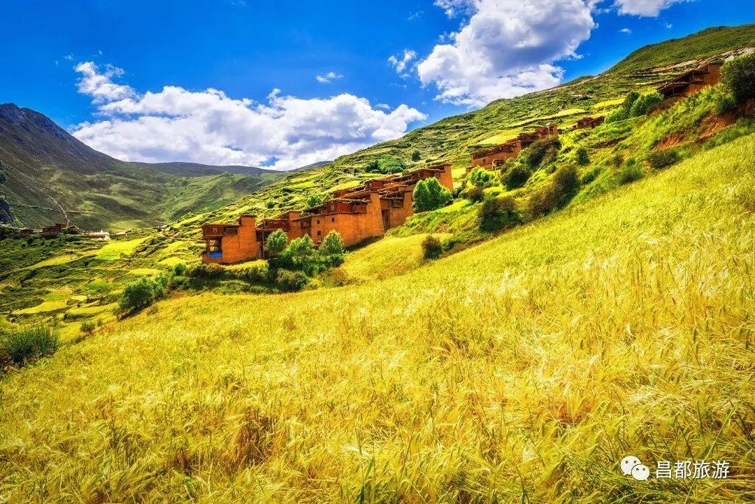 贡觉天气预报20天查询