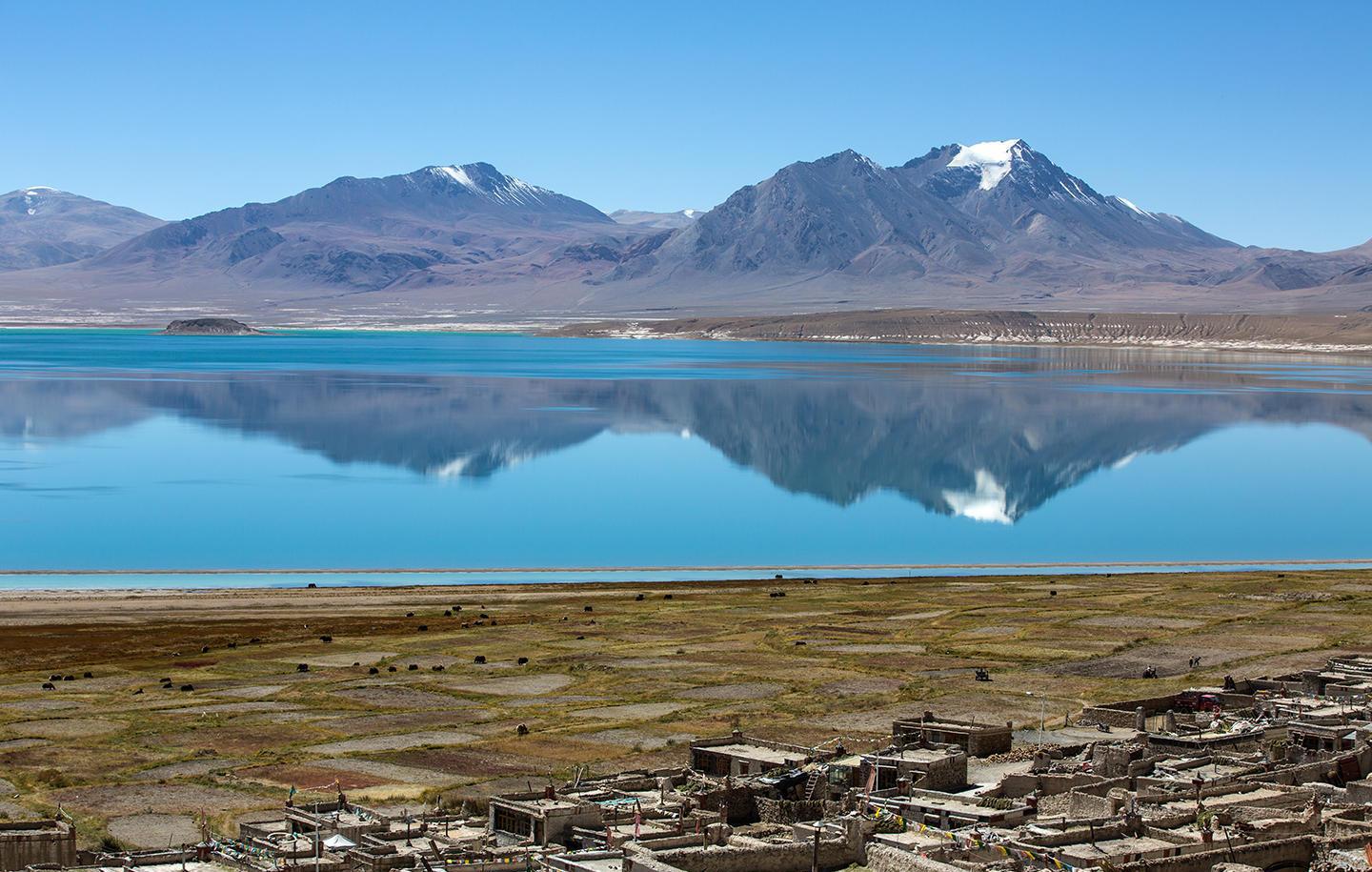 尼玛天气预报20天查询