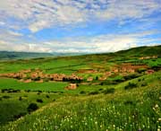 安多天气预报20天查询