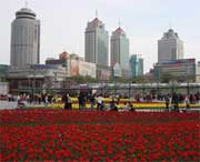 西宁天气预报20天查询