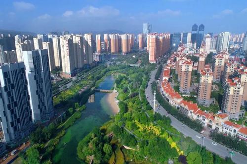 城西天气预报20天查询