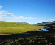 泽库天气预报20天查询