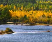 贵德天气预报20天查询