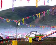 曲麻莱天气预报20天查询