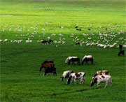 海北州天气预报20天查询