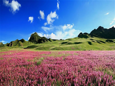 都兰天气预报20天查询