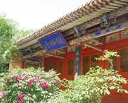 陇西天气预报20天查询