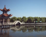 临洮天气预报20天查询