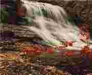 华亭天气预报20天查询