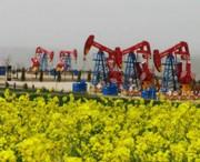 庆阳天气预报20天查询