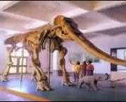 合水天气预报20天查询