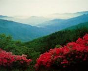 正宁天气预报20天查询