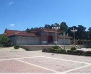 镇原天气预报20天查询