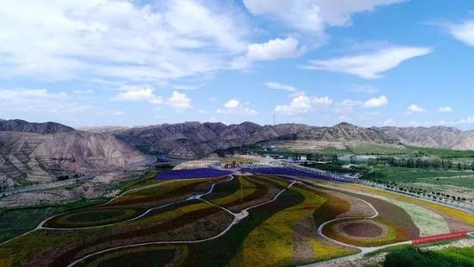 金川天气预报20天查询