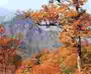 武山天气预报20天查询