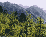 西和天气预报20天查询