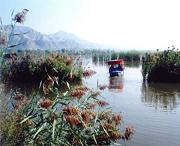 永靖天气预报20天查询