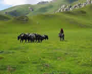 合作天气预报20天查询