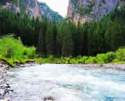 卓尼天气预报20天查询