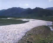 迭部天气预报20天查询