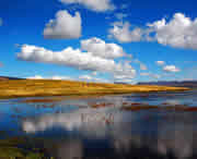 碌曲天气预报20天查询