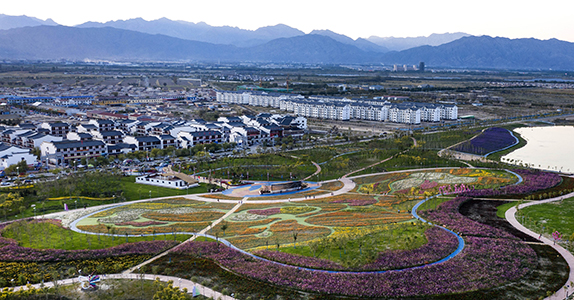 大武口天气预报20天查询