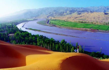 沙坡头天气预报20天查询