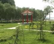 原阳天气预报20天查询