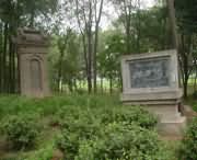 封丘天气预报20天查询