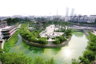 卫滨天气预报20天查询