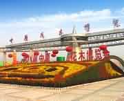 鄢陵天气预报20天查询