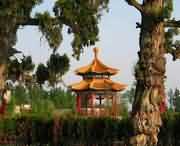 长葛天气预报20天查询