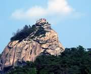 信阳天气预报20天查询