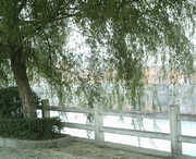 商城天气预报20天查询