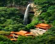 桐柏天气预报20天查询