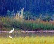 孟津天气预报20天查询