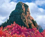 汝阳天气预报20天查询