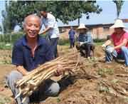 温县天气预报20天查询