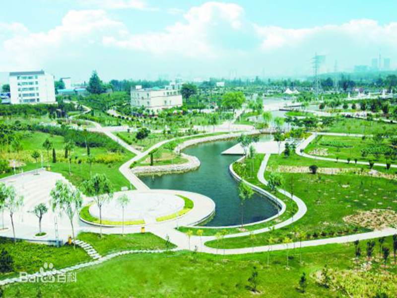 中站天气预报20天查询