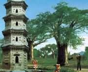 太康天气预报20天查询