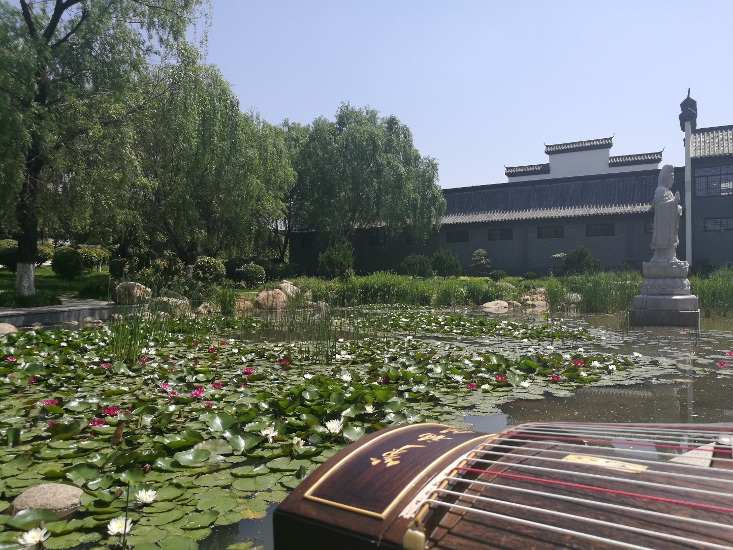 郾城天气预报20天查询