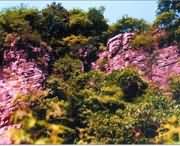 遂平天气预报20天查询